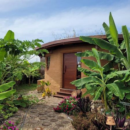 Eco Loft Maymuna: Seu Loft Ecologico Pertinho Da Praia Villa Pôrto de Pedras Exterior foto