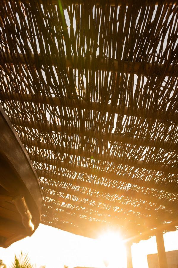 Eco Loft Maymuna: Seu Loft Ecologico Pertinho Da Praia Villa Pôrto de Pedras Exterior foto