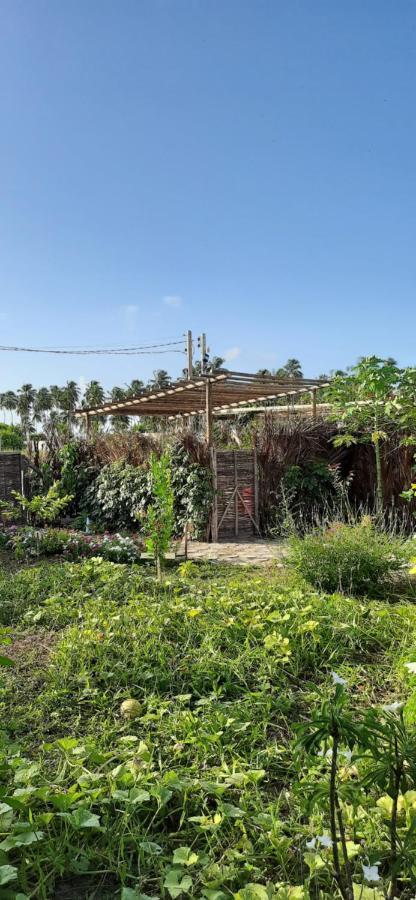 Eco Loft Maymuna: Seu Loft Ecologico Pertinho Da Praia Villa Pôrto de Pedras Exterior foto